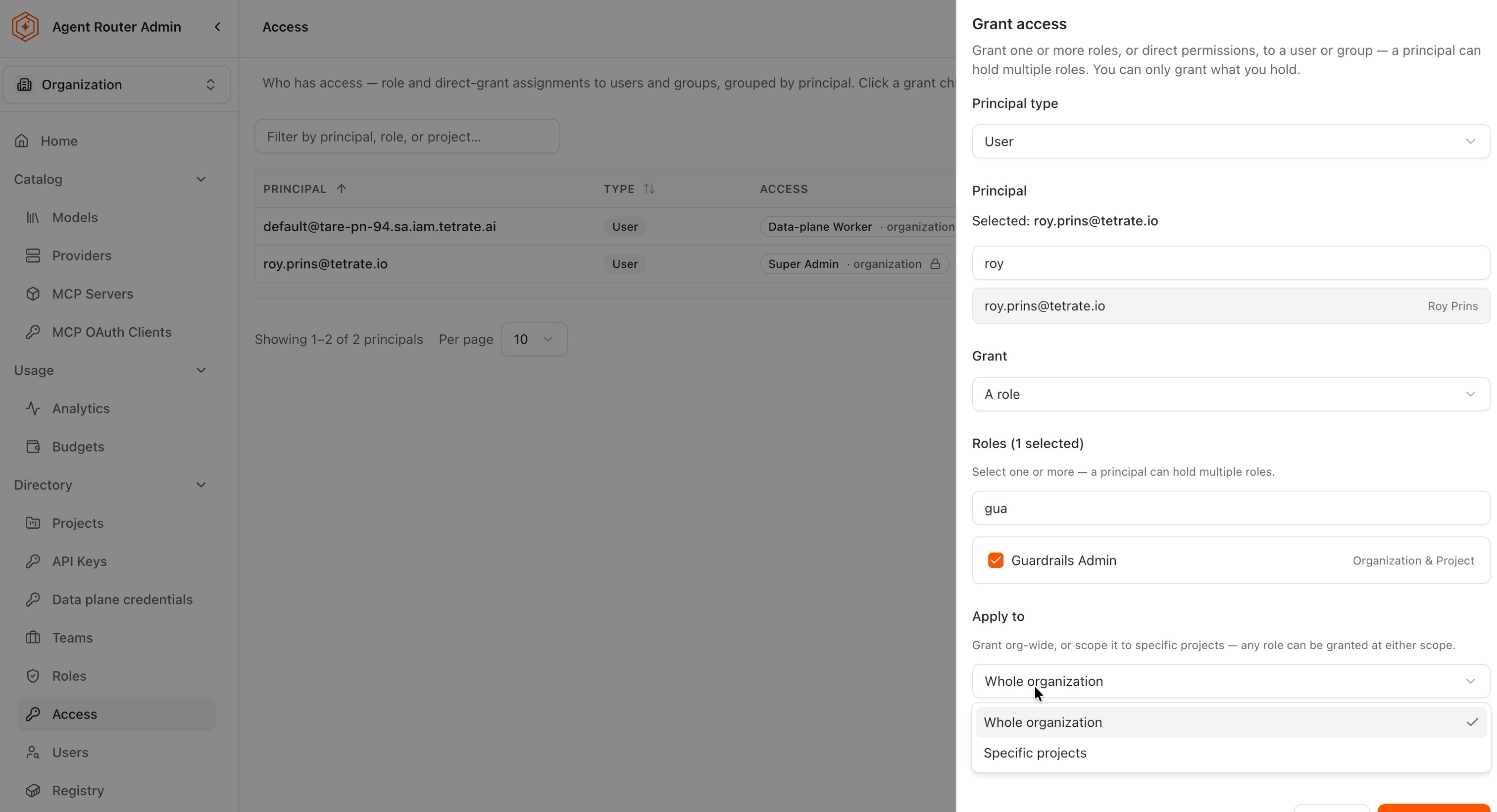 Grant access panel with a role selected and the Apply to options open